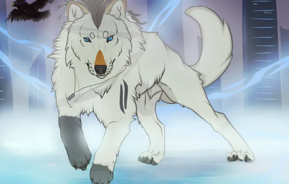 Picture wolf, figure, beast