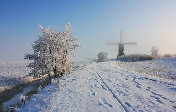 Winter, frost, road, field, the sky, snow, branches, traces