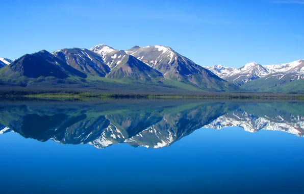 Picture forest, mountains, nature, lake, reflection, Landscape