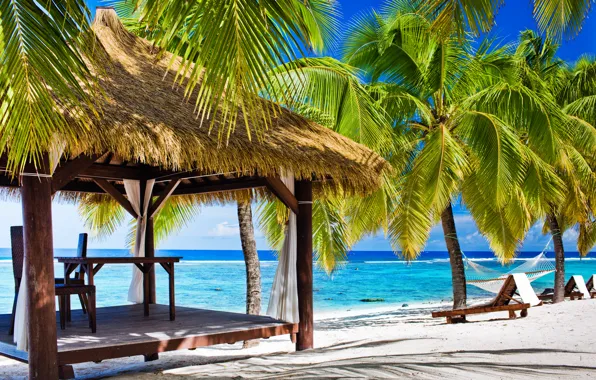 Sea, beach, summer, palm trees, stay, shore, summer, beach