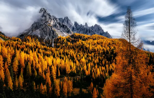 Autumn, clouds, trees, mountains, Italy, Dolomites