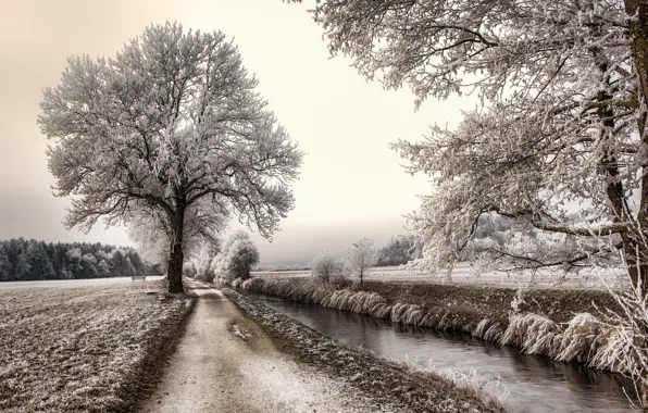Frost, road, trees, landscape, channel