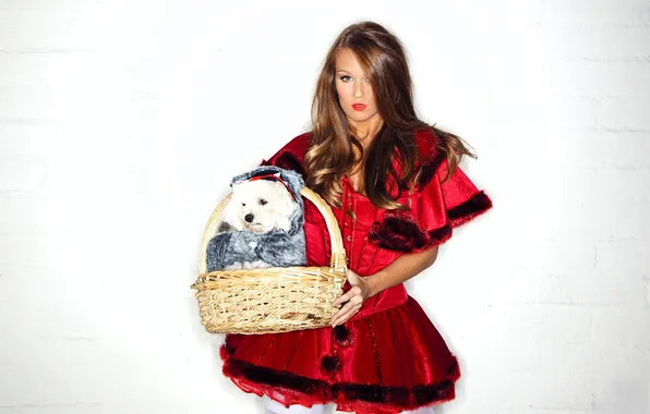 Basket, dog, stockings, dress, outfit, corset, red, cloak