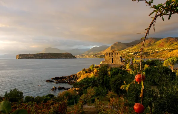 Picture tower, sea, landscape, Italy, nature, plants, mediterranean, Calabria