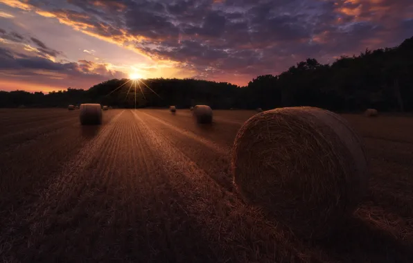 Field, the sun, rays, sunset, hay, bales, straw, bales
