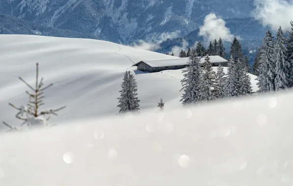 Winter, frost, forest, snow, mountains, smoke, the slopes, ate