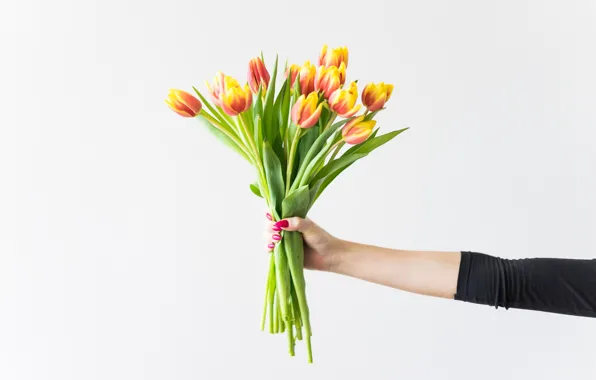 Flowers, hands, tulips, manicure