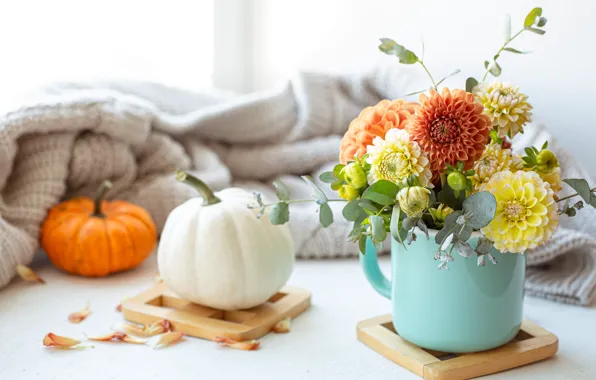 Picture autumn, flowers, bouquet, pumpkin