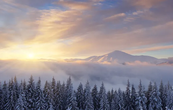 Winter, forest, the sun, clouds, rays, snow, landscape, mountains
