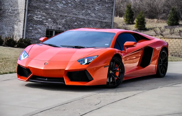 Picture wheels, lamborghini, black, orange, aventador