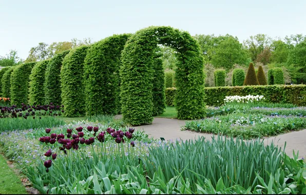 Plants, spring, garden, tulips, arch, Nature, park, garden