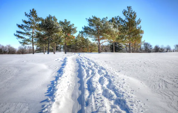 Winter, field, the sky, snow, trees, trail, track