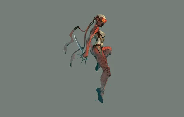 Weapons, costume, ninja, shinobi, ps2, slashers, nightshade