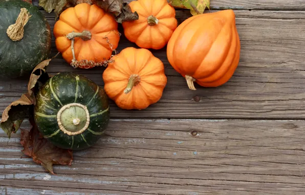 Autumn, leaves, tree, harvest, pumpkin