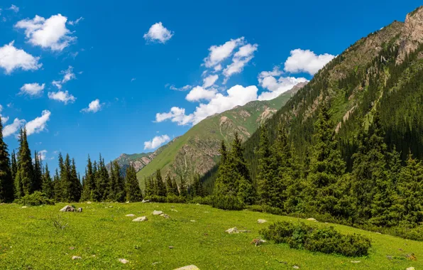 Picture clouds, landscape, mountains