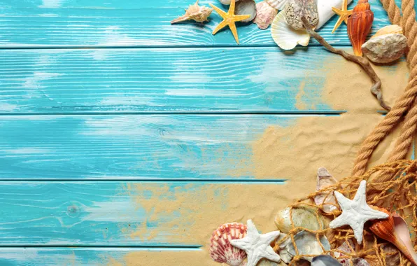 Sand, beach, shell, beach, wood, sand, marine, still life