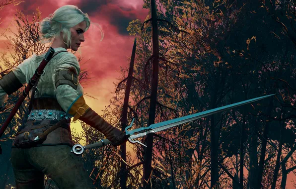Picture The Witcher, CRIS, The Witcher 3:Wild Hunt, Burning skies