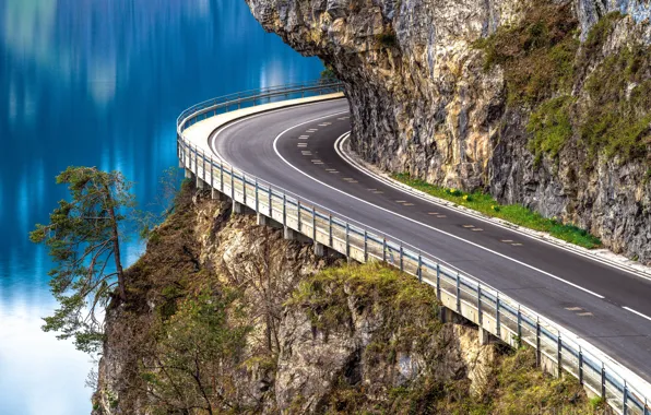 Road, rock, lake, tree, Switzerland, Switzerland, pine, Lake Thun