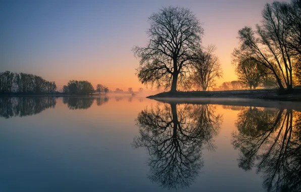 Picture sunset, lake, tree