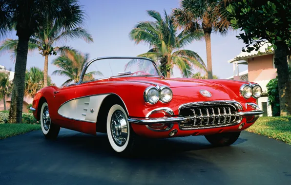 Palma, 1960, corvette, convertible, chevrolet, convertible