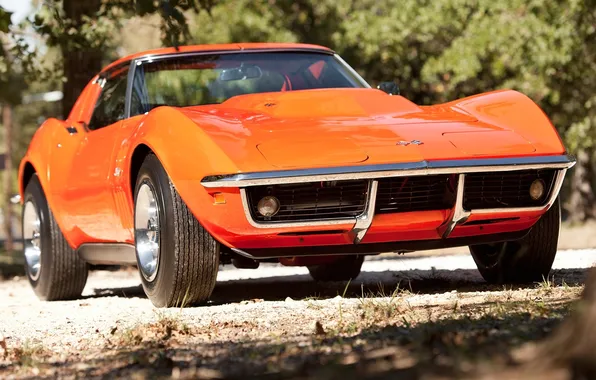 Trees, orange, Corvette, Chevrolet, 1969, Chevrolet, classic, the front