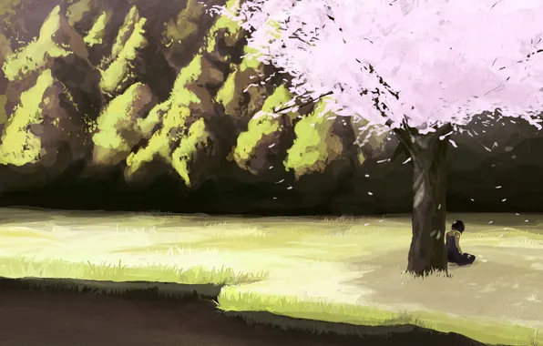 Picture girl, river, tree, shore, Sakura