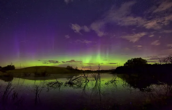 The sky, stars, trees, landscape, Northern lights
