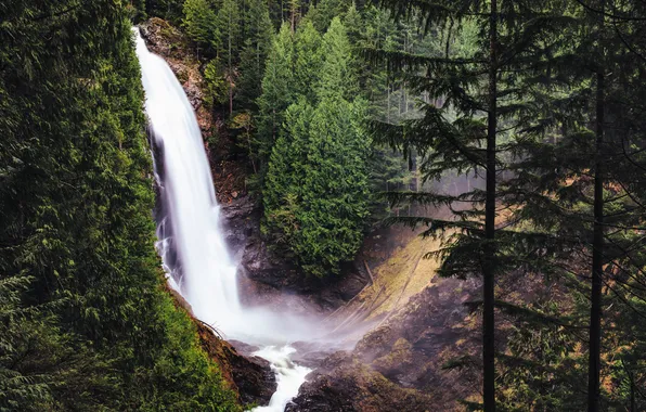 Forest, trees, rock, open, waterfall, Washington, USA, Wallace Falls