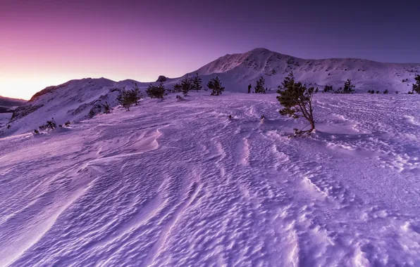 Winter, snow, sunset, mountains, nature