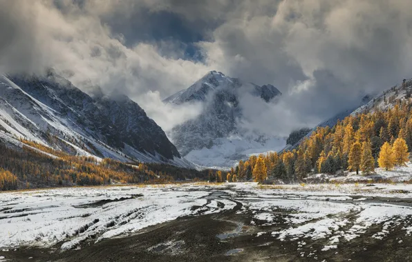 Picture autumn, forest, snow, trees, mountains, Materov.