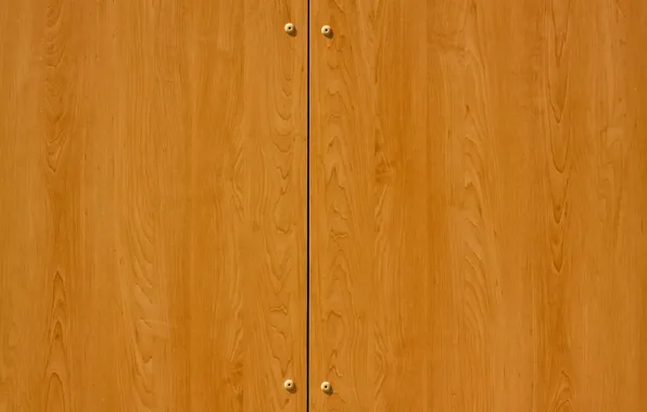 Picture pattern, polished, closet doors