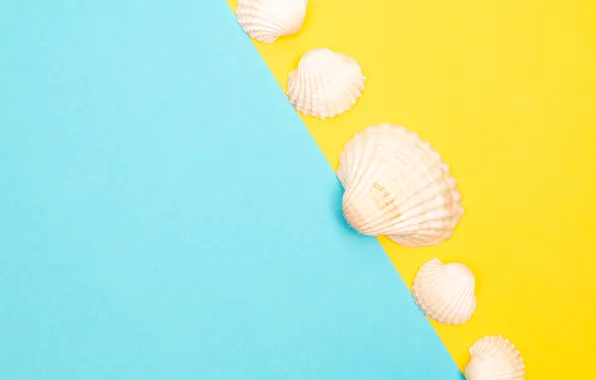 Yellow, background, blue, color, texture, contrast, shell, items