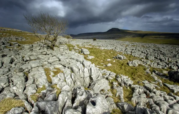 Field, the sky, landscape, stones, the evening