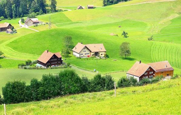 Greens, grass, trees, field, Switzerland, houses, Trogen