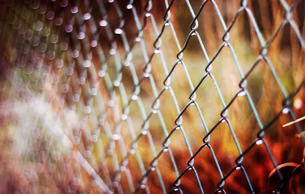 Picture autumn, macro, mesh, the fence, fence, blur, metal, bokeh