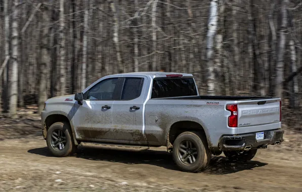 Picture forest, movement, earth, Chevrolet, pickup, Custom, Silverado, 2020