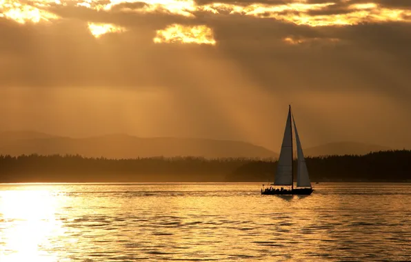 People, coast, the evening, yacht, silhouette, sails, Seattle, walk
