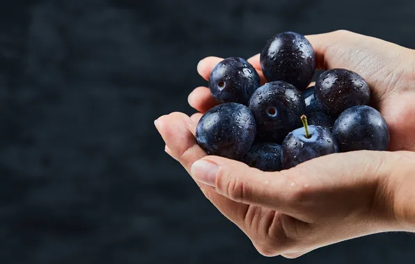 Drops, the dark background, hands, fruit, plum, composition, drain, a handful