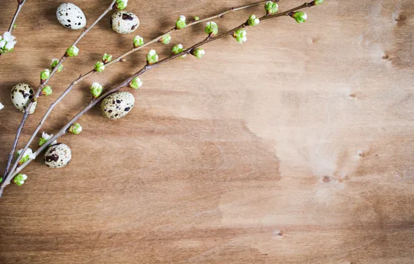 Branches, holiday, eggs, Easter