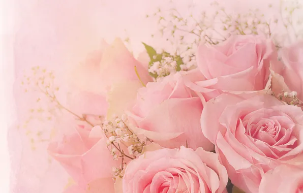 Flowers, background, roses, treatment, bouquet, pink, buds, pink background