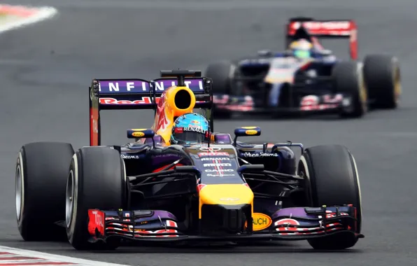 Racer, Formula 1, Red Bull, Sebastian Vettel, Champion, RB10