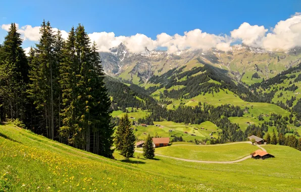 Trees, mountains, field, Switzerland, valley, houses, meadows, Oberland