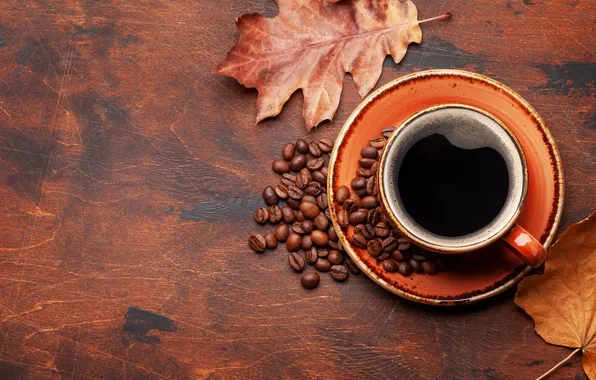 Autumn, leaves, grain, wood, autumn, leaves, cup, beans