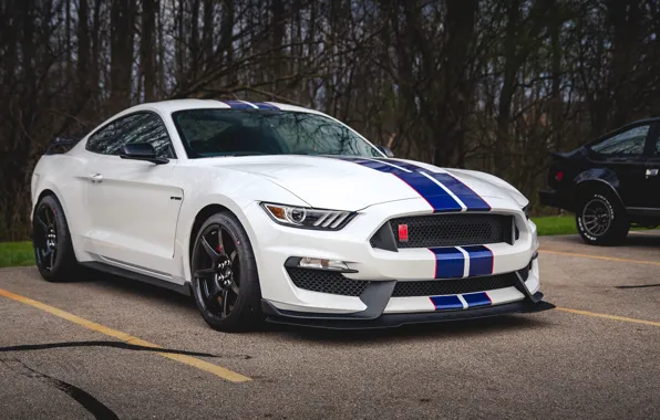 Picture Mustang, Ford, Shelby, GT350, Shelby, Ford Mustang, Ford Mustang Shelby GT350