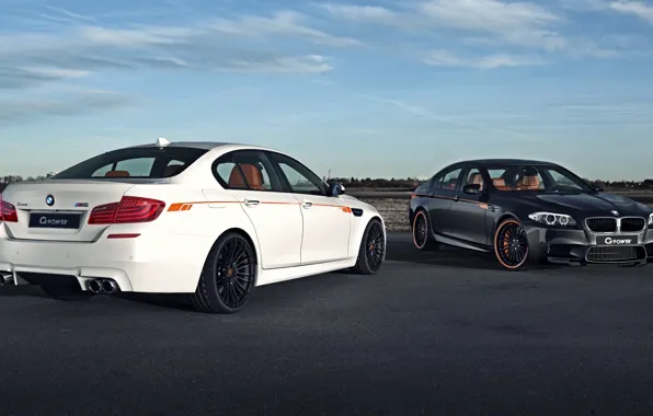 White, Power, black