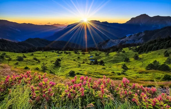Picture the sun, rays, landscape, mountains, glade