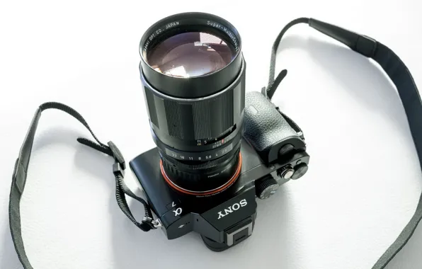 Macro, background, camera