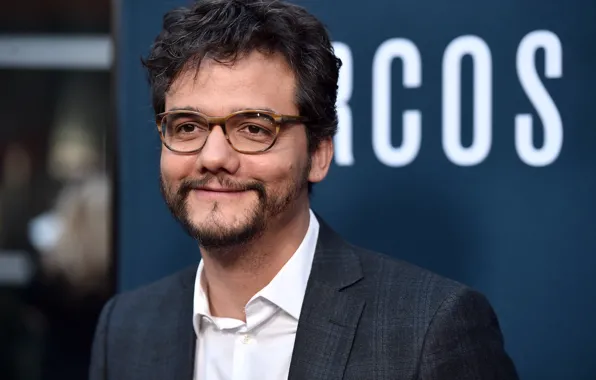 Picture Netflix, Narcos, Wagner Moura, Pablo Escobar