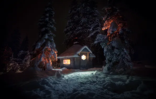 Picture light, snow, winter, trees, ate, house, night, forest