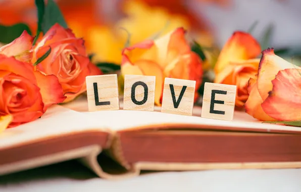 Love, flowers, letters, holiday, cubes, roses, bouquet, book